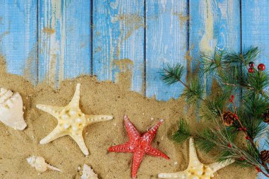 Kumlu sahilde Noel ağacı dalları, deniz kabukları ve ahşap bir arka planda deniz yıldızları.