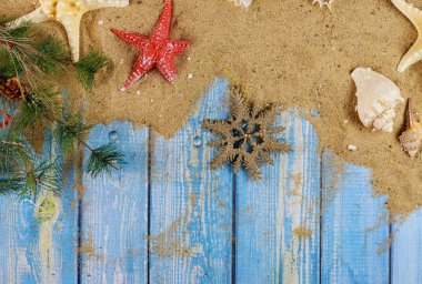 Mavi ahşap arka planlı bir noel ağacının dalında deniz kabukları ve deniz yıldızları.