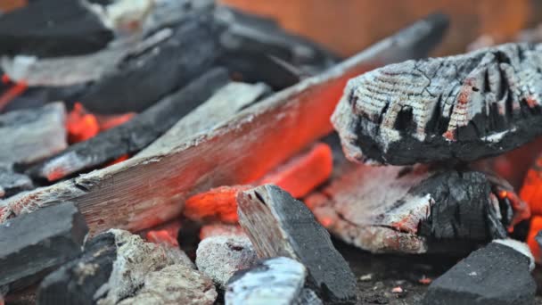 Charcoal burning for barbecue at picnic — ストック動画