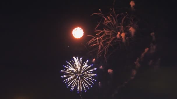 Patriottische feestdagen vuurwerk show veelkleurig vuurwerk vieren van het nieuwe jaar, de Onafhankelijkheidsdag of een ander groot evenement — Stockvideo