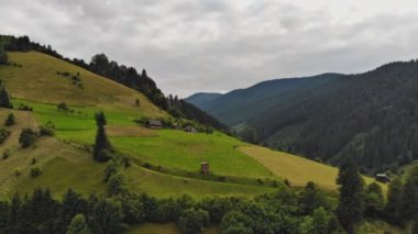 Panoramik manzara Karpatlar 'ın ormanı güzel mavi gökyüzü arka planı Ukrayna doğası
