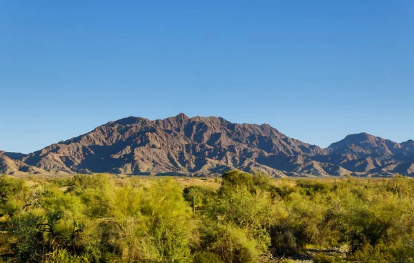 Desert Cactus Saguaro Park Landschap Bijgeloof Berg Bij Phoenix Arizona — Stockfoto