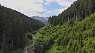 Panorama of Carpathian mountains in sunny day
