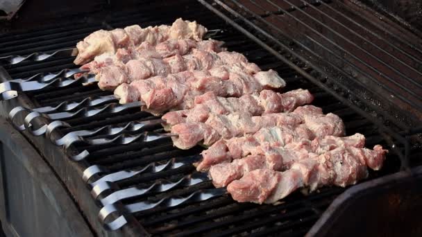 Close up of pork kebabs cooking on a barbecue. — Αρχείο Βίντεο