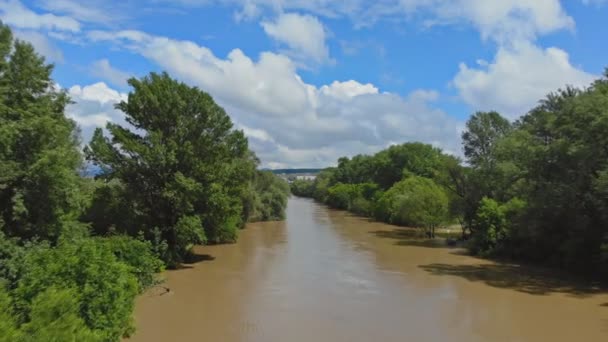 Річкове джерело води вийшло з берега і затопило дерева — стокове відео
