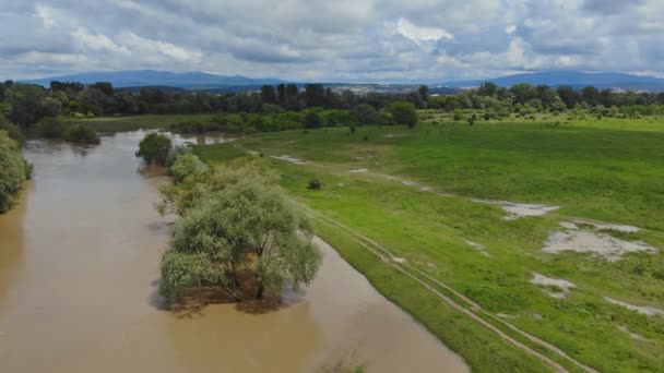Наводнение реки весной в ландшафте с горными деревьями — стоковое видео