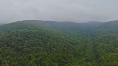 Mountain landscape with fores fog Pocono Pennsylvania USA