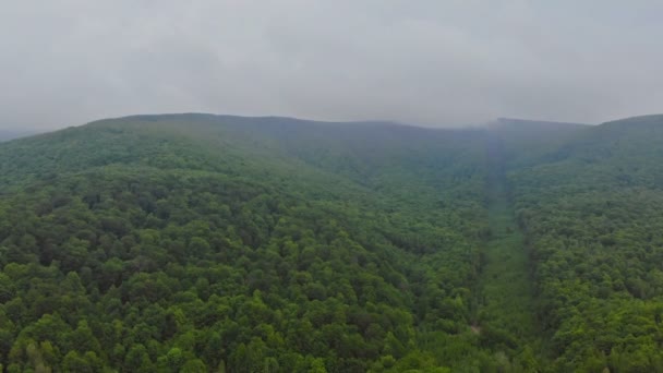 Mountain landscape with fores fog Pocono Pennsylvania USA — Stok video