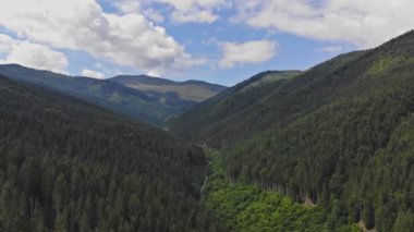 Flying over beautiful majestic summer panoramic landscape mountains the Carpathians Ukraine