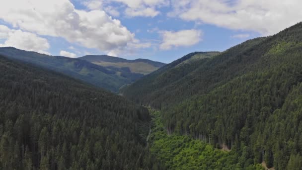 Flying over beautiful majestic summer panoramic landscape mountains the Carpathians Ukraine — Stockvideo