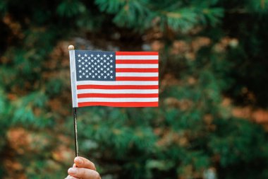 Güneşli gün Bağımsızlık Günü konseptinde Amerikan bayrağı ile Bayrak Günü