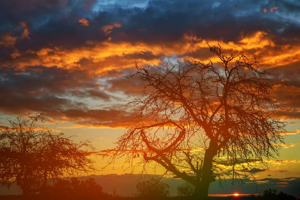 Яркое Небо Закате Над Драматическим Вечерним Светлым Небом — стоковое фото