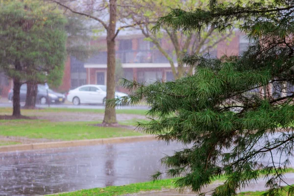 大雨の時に雨期のアパートの木を滴下雨水 — ストック写真