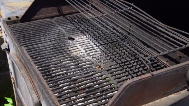 Homem cozinhando carne shashlik marinado grelhando no espeto de metal, de perto — Vídeo de Stock