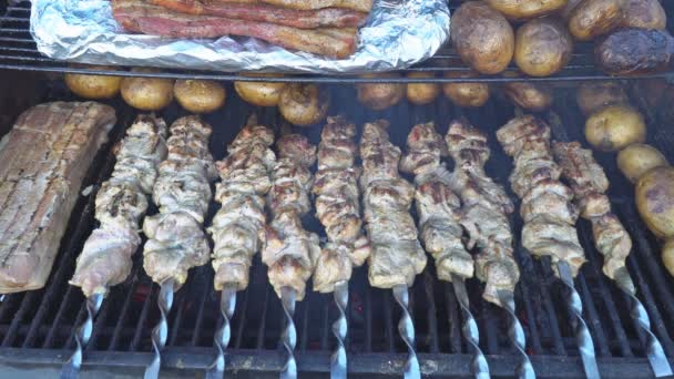 Barbecue vlees kebab met aardappelen en spek op grill — Stockvideo