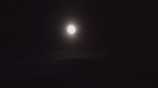 Luna piena dietro le nuvole in una notte stellata — Video Stock