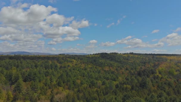 Montagne Pocono Pennsylvania paesaggio con foresta verde — Video Stock