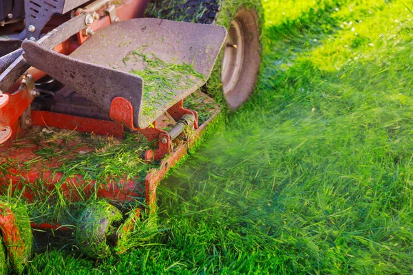 Seorang Pria Memotong Rumput Dengan Menggunakan Mesin Pemotong Bensin Rumputnya — Stok Foto