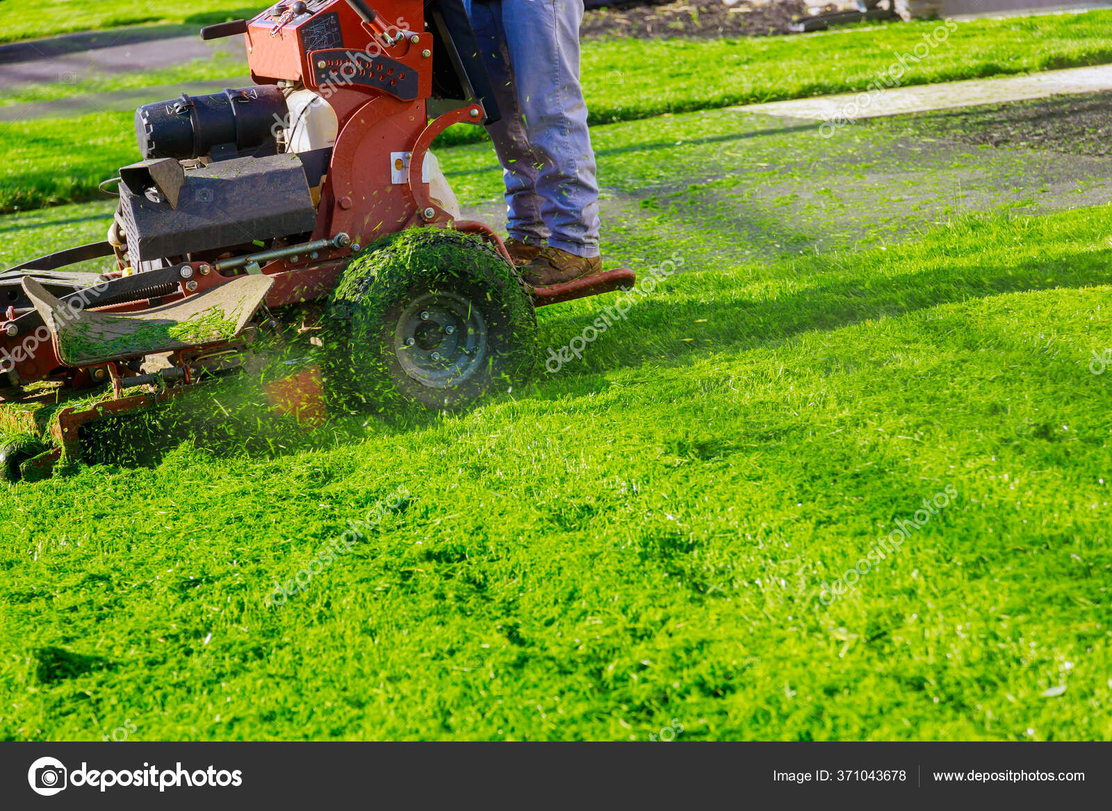 Man Cutting Grass His Yard Cut Spring Grass Lawn Mower — Stock