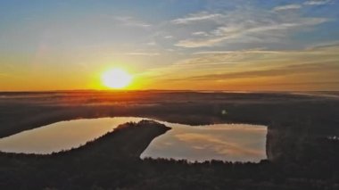 Ağaç dramatik renkli sahne ile güneş ışığı güneş ışınları ile Fantastic sisli göl.