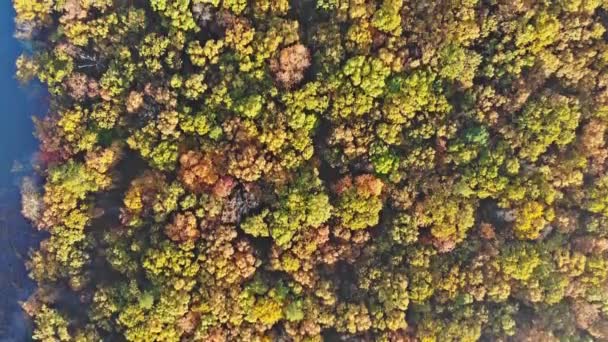 Vista sobre bosque otoñal desde una altura de aves de impresionante vista aérea — Vídeos de Stock