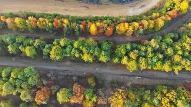 Вид з повітря на дорогу, оточену висотою пофарбованого лісу восени — стокове відео