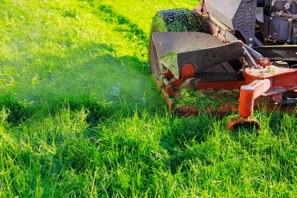 Menutup Rumput Dengan Menggunakan Mesin Pemotong Rumput — Stok Foto