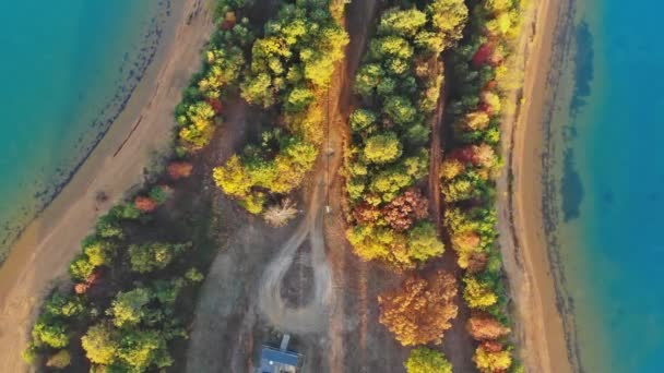 Осенние цветные деревья красивого лесного озера — стоковое видео