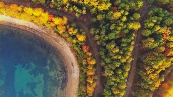 Лесное озеро в красочных осенних листьях с пейзажем береговой линии — стоковое видео
