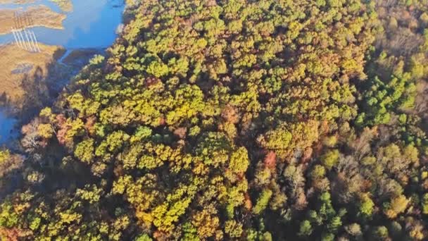 Paysage d'automne sur de la forêt une hauteur avec des feuilles orange, vert et jaune 