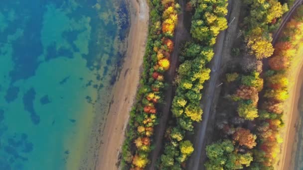 Drone utsikt över landsbygden i höst med sjö — Stockvideo