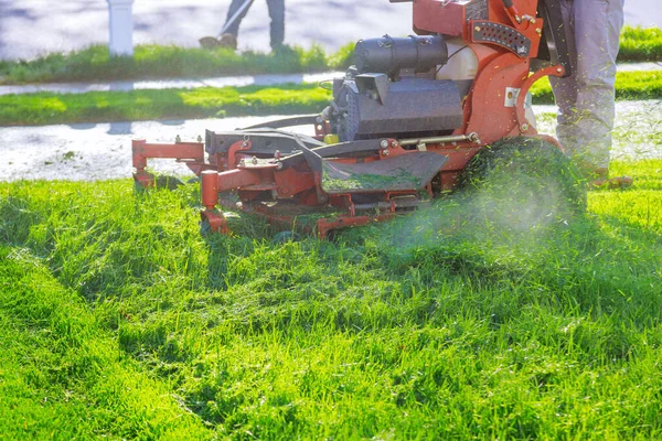 Kegiatan Berkebun Mesin Pemotong Rumput Memotong Rumput Didorong Mesin Pemotong — Stok Foto