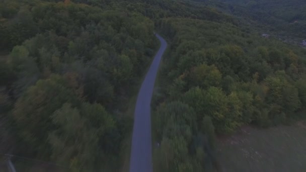 理想的に平らなアスファルトの道路で美しい夏の山 — ストック動画