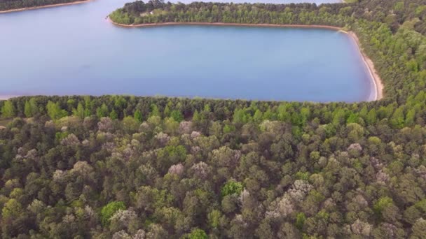 Sommar skog sjö med gröna skogar panorama träd — Stockvideo