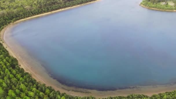 晴れた夏の森のパノラマの池の空中ビュー — ストック動画