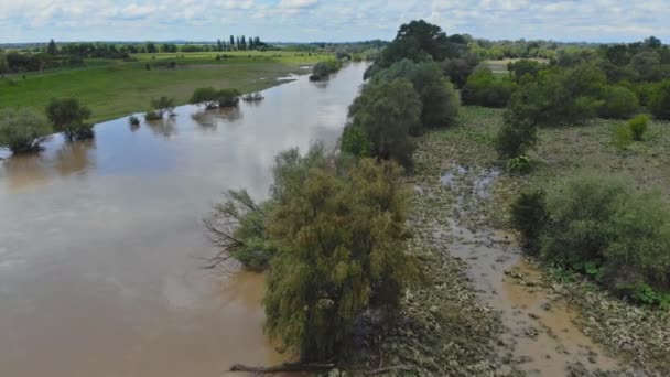 地球温暖化による春の川の氾濫牧草地 — ストック動画