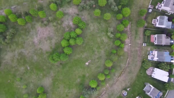 Flygfoto strandpromenad förort gata i medelklass förort kvarter med hus — Stockvideo