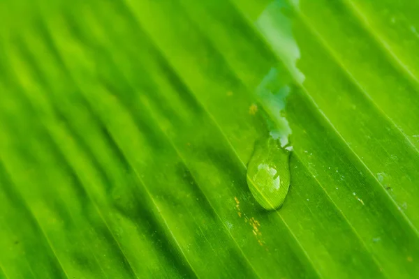 水の滴. — ストック写真