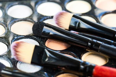 Profesyonel makyaj fırçaları