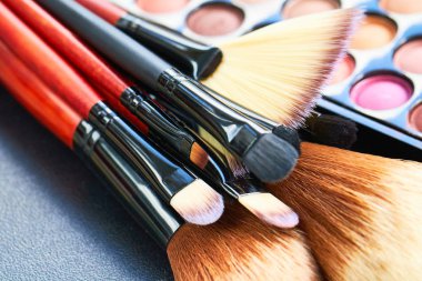 Profesyonel makyaj fırçaları