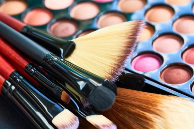 Profesyonel makyaj fırçaları