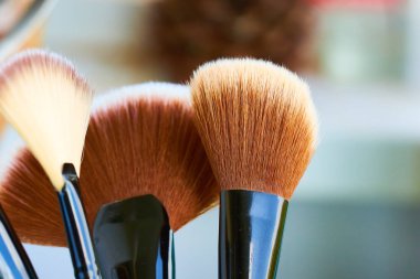 Profesyonel makyaj fırçaları