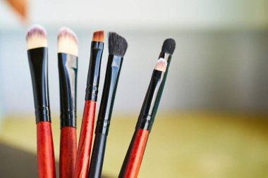 Profesyonel makyaj fırçaları