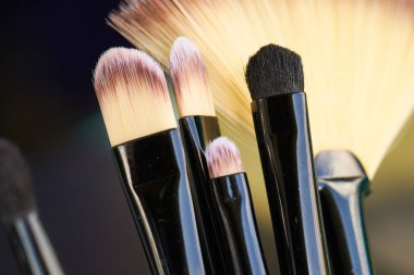 Profesyonel makyaj fırçaları