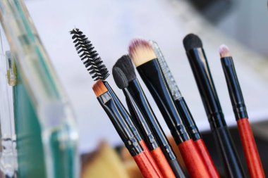 Profesyonel makyaj fırçaları