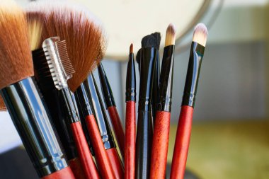Profesyonel makyaj fırçaları