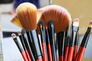 Profesyonel makyaj fırçaları