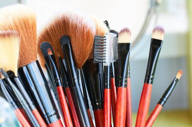 Profesyonel makyaj fırçaları