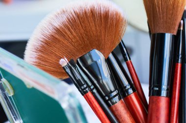 Profesyonel makyaj fırçaları