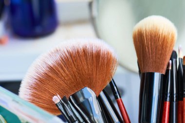 Profesyonel makyaj fırçaları